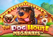 The Dog House Megaways