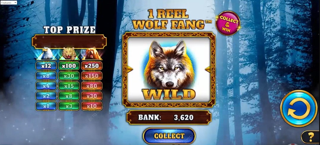 Wolf Fang